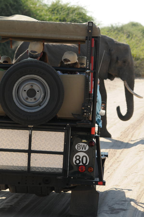Ngoma Safari Lodge Kavimba Dış mekan fotoğraf