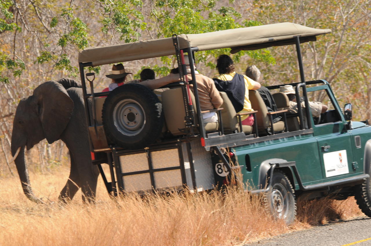 Ngoma Safari Lodge Kavimba Dış mekan fotoğraf