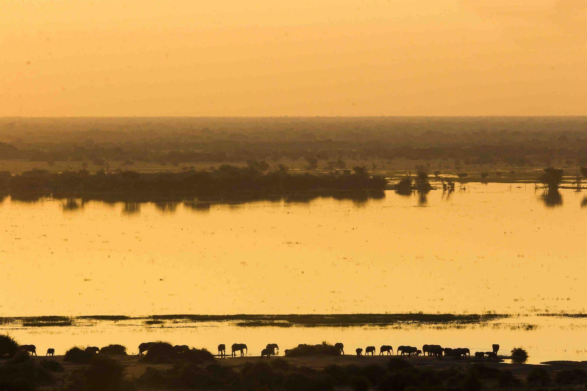 Ngoma Safari Lodge Kavimba Dış mekan fotoğraf