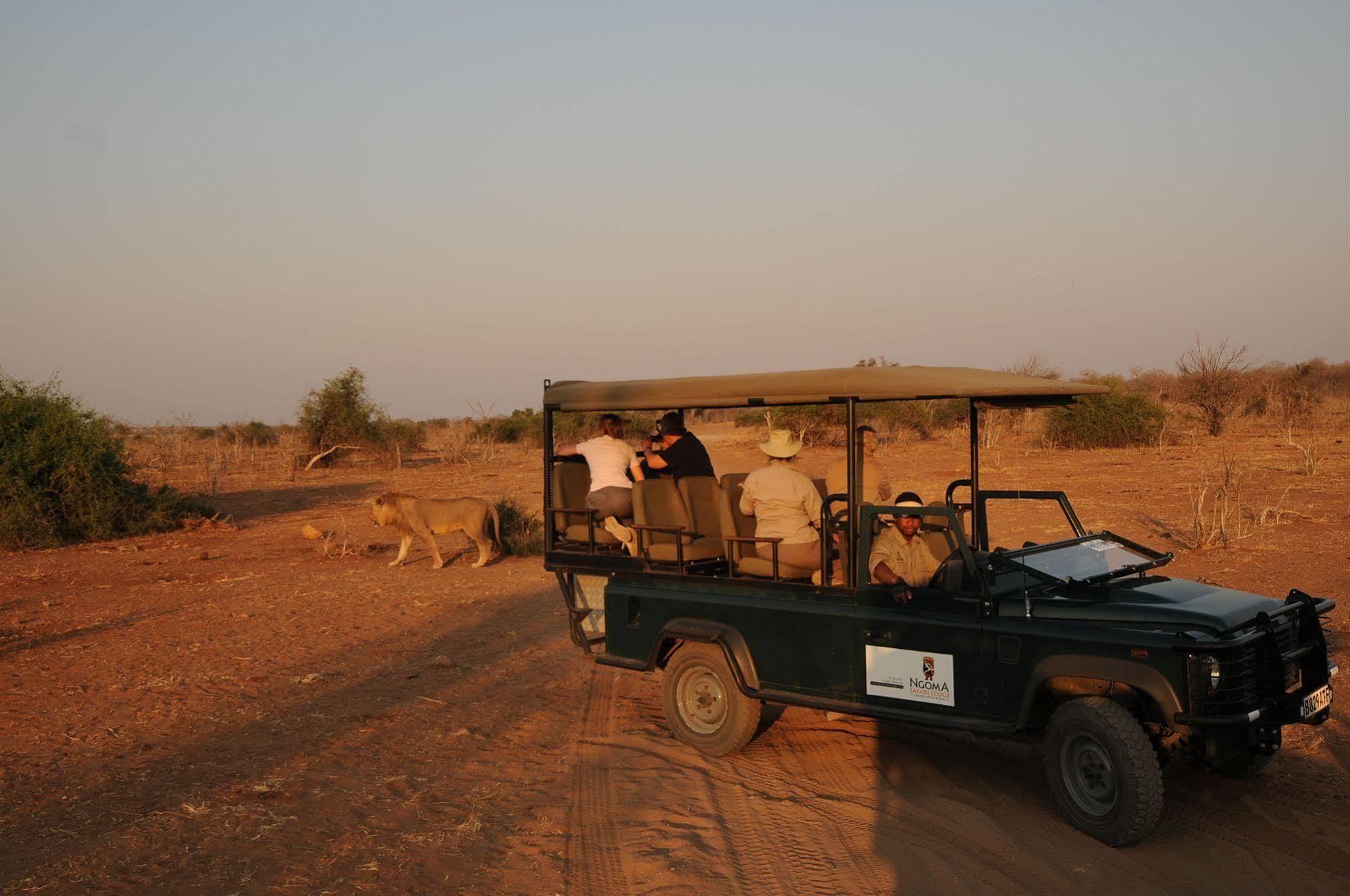 Ngoma Safari Lodge Kavimba Dış mekan fotoğraf
