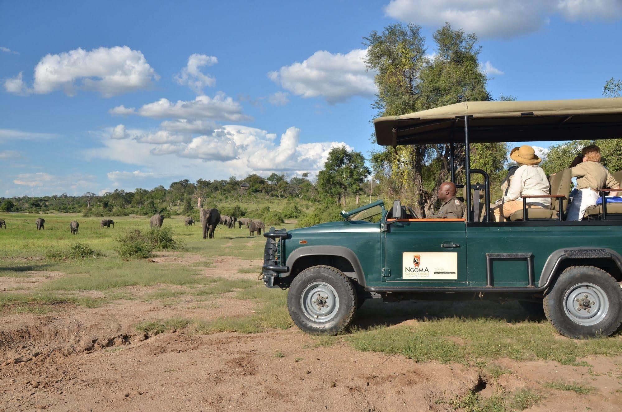 Ngoma Safari Lodge Kavimba Dış mekan fotoğraf