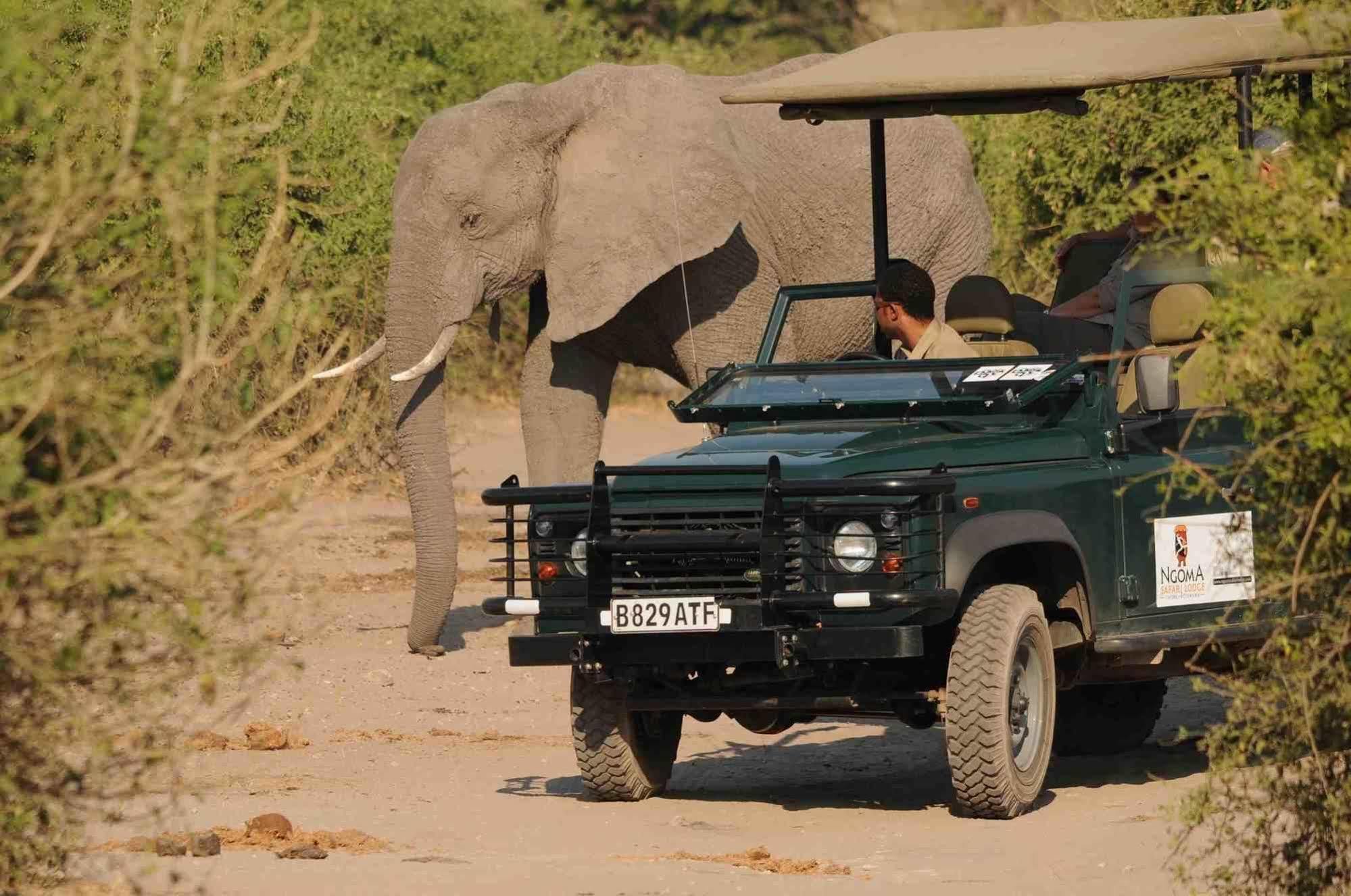 Ngoma Safari Lodge Kavimba Dış mekan fotoğraf